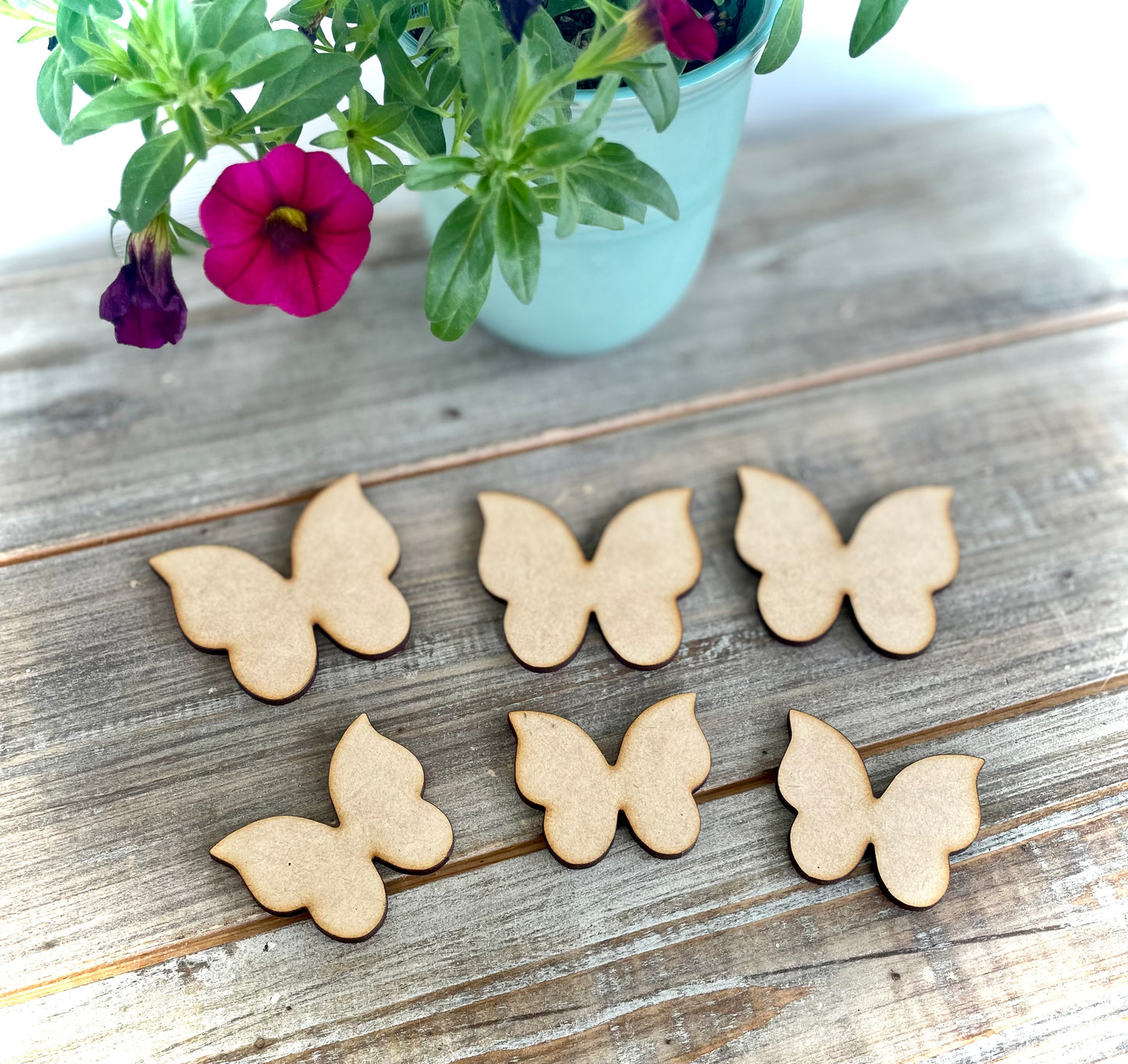Butterfly Blank Cutouts (Set of 6, 2 different sizes)