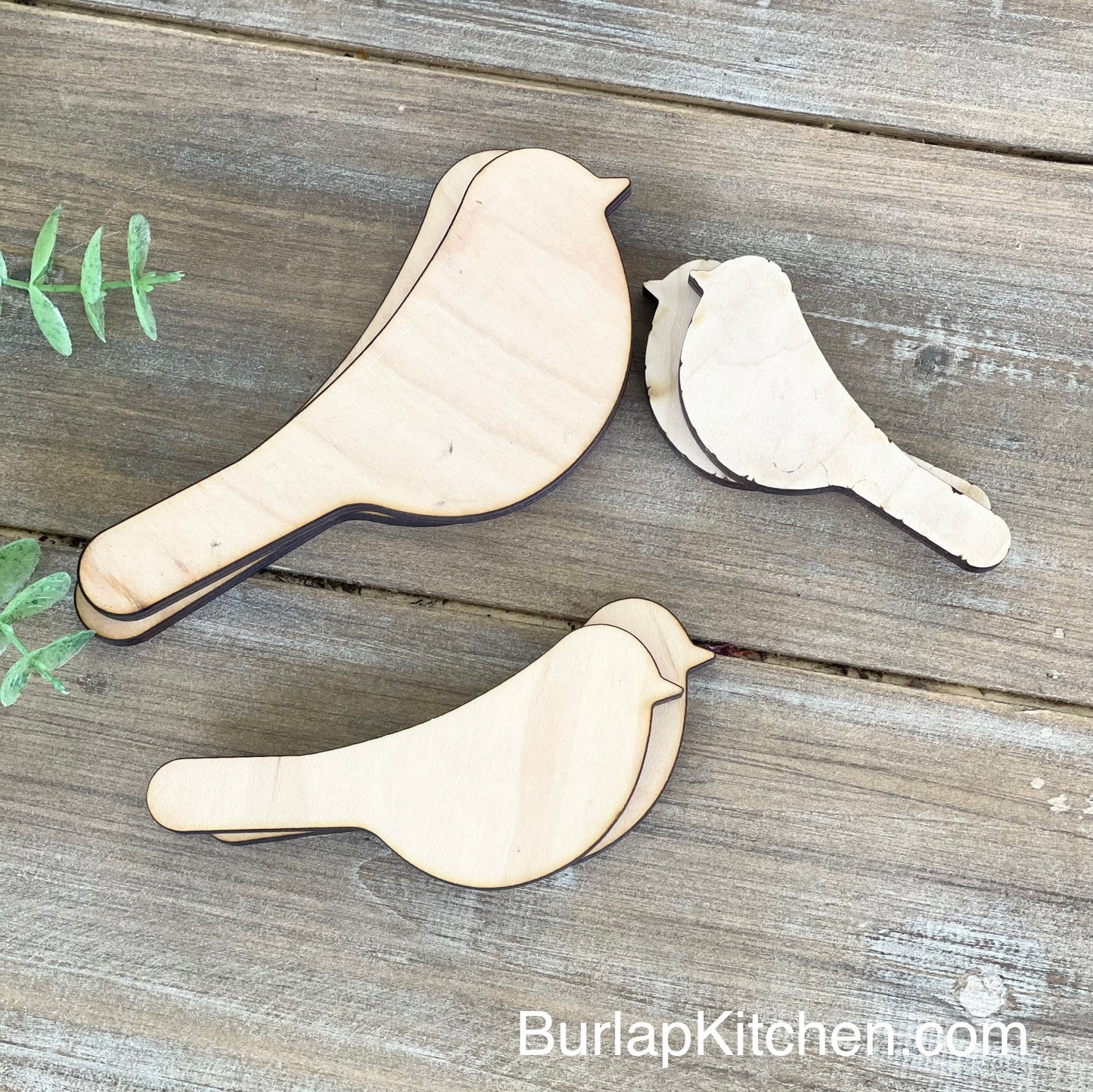 Wood Bird Cutouts, Set of 6 - (DIY Maple Wood Blanks for Crafting)