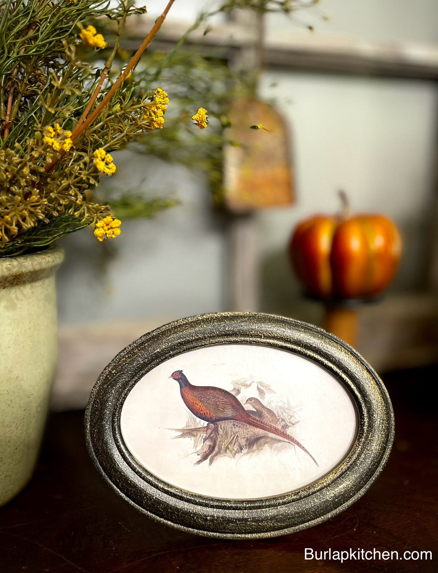 (F) Vintage Pheasant Artwork in Ornate Oval Frame