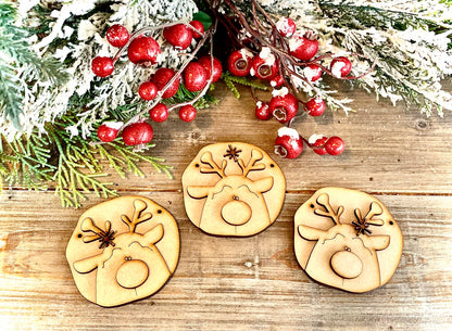 DIY Reindeer Ornaments, Set of 3