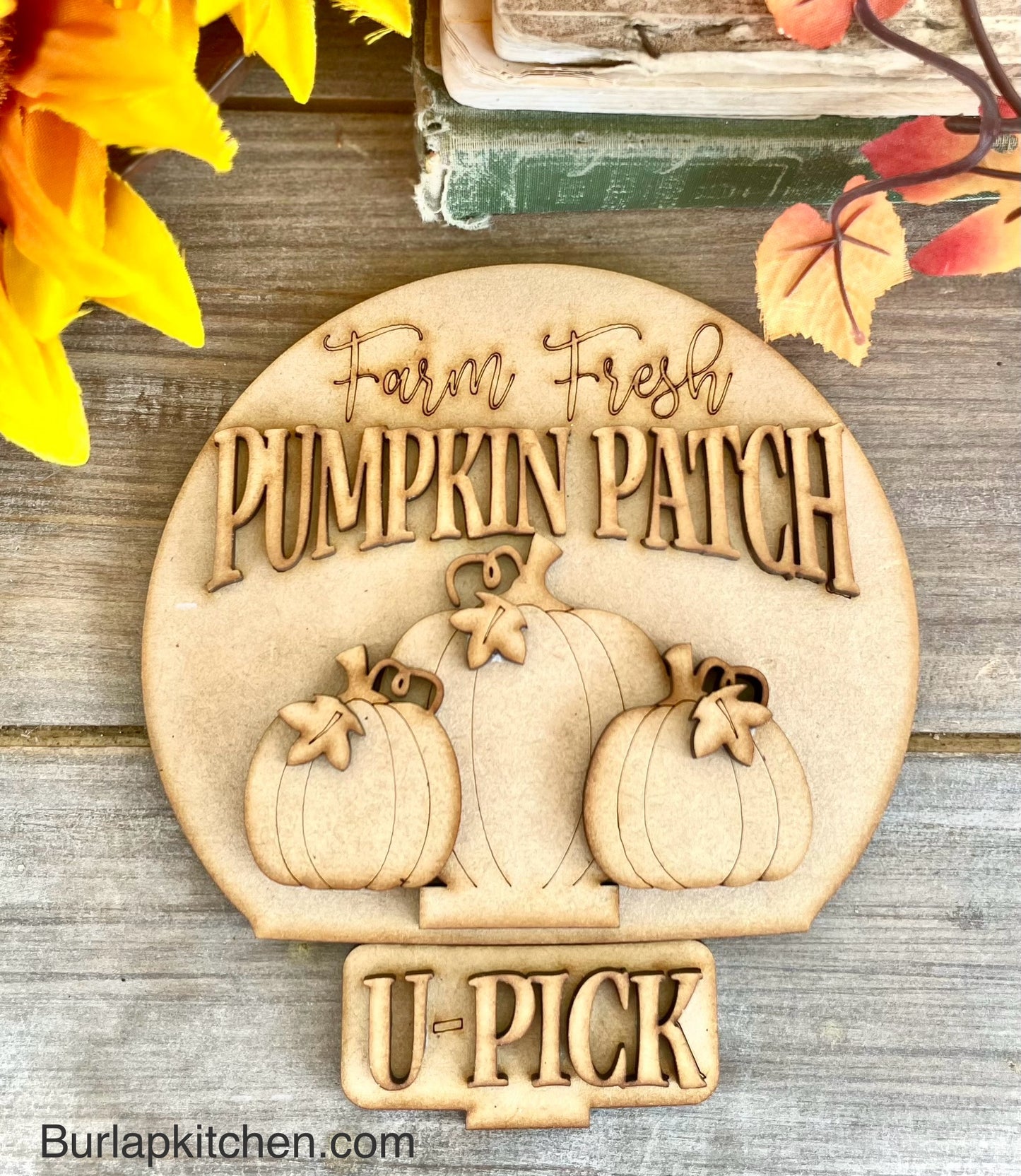 Pumpkin Patch Interchangeable ONLY - DIY Craft Kit