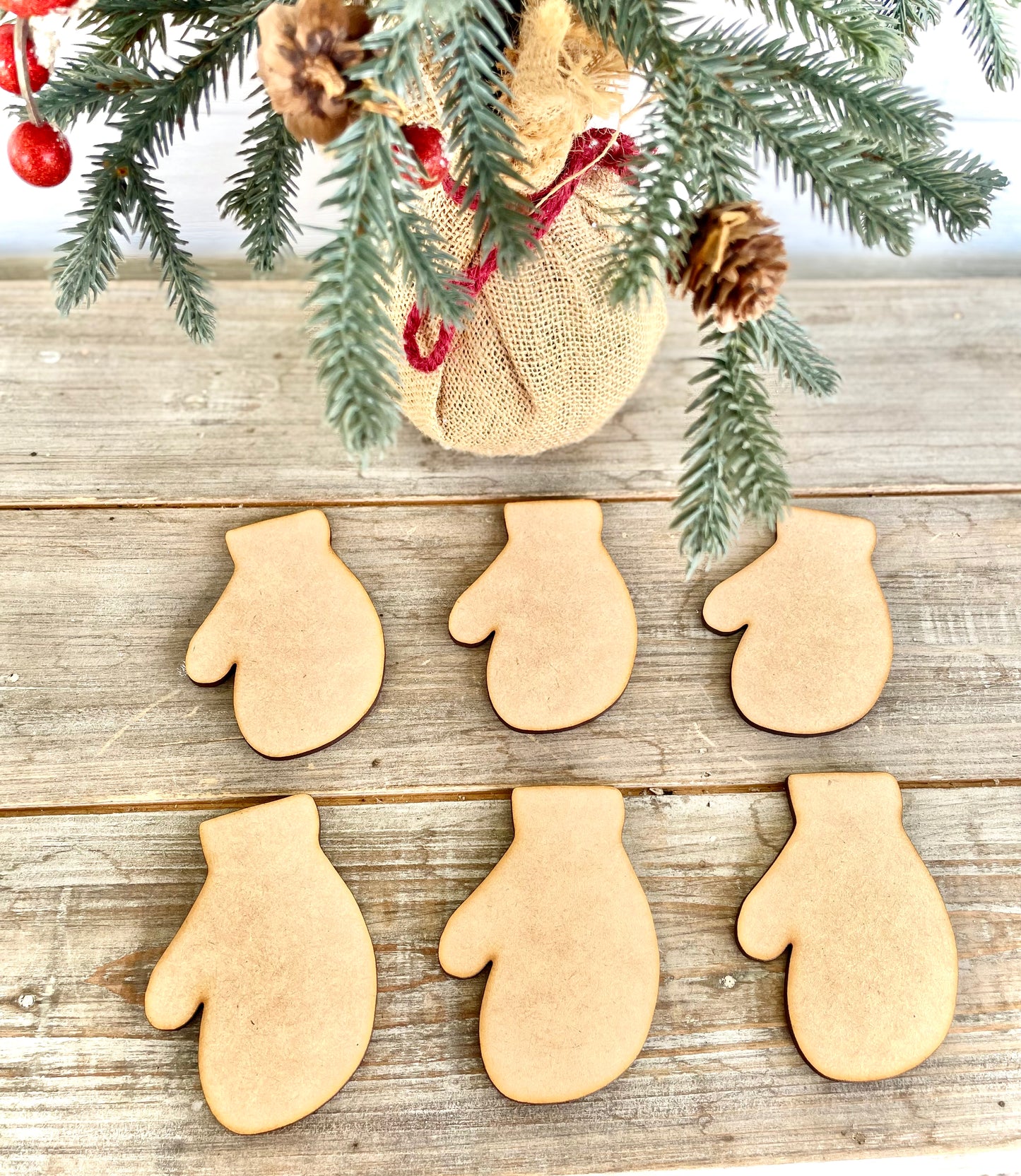 DIY Mitten Cutouts for Crafting (Set of 6, One Size Only)