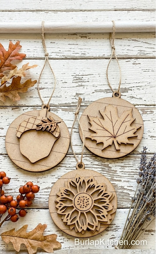 Fall Ornament Set - DIY Craft kit