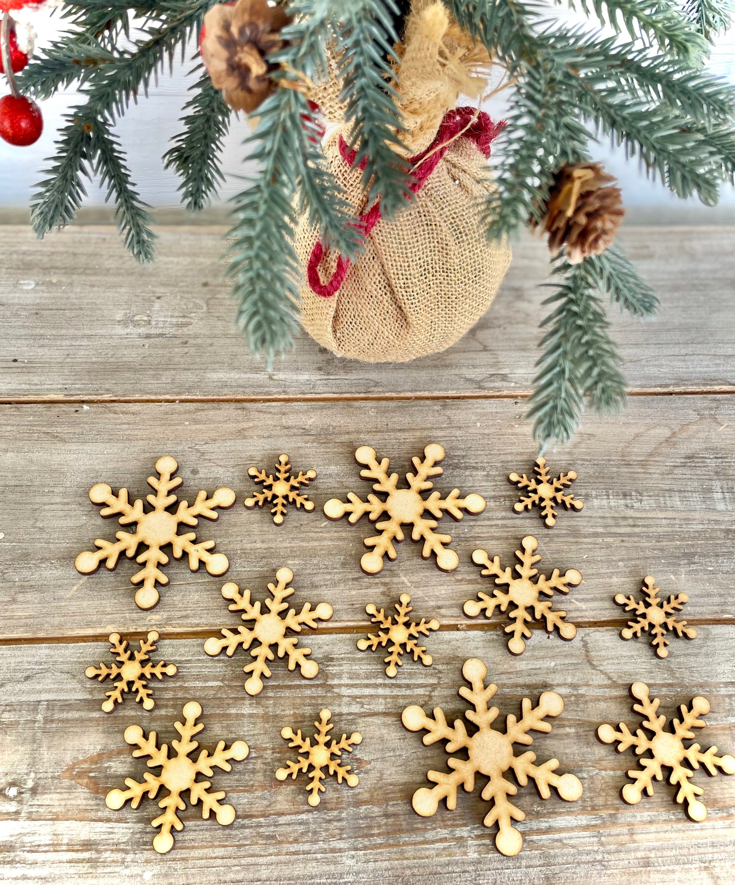 Snowflake Embellishment Pack for Crafting, Set of 13 - (3 large, 4 medium, 6 small)