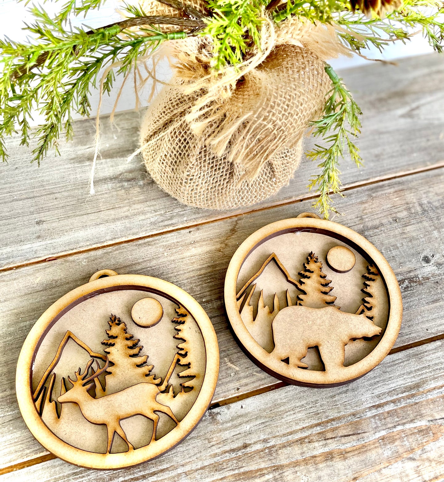 Woodland Themed DIY Ornaments, Set of 2 (DIY Craft Kit)